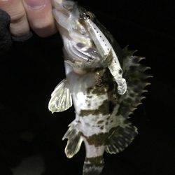 ライトプラッキング