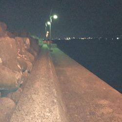 ちょっと暖かかったので