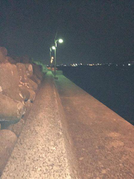 ちょっと暖かかったので