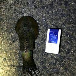 ヤエン中毒(笑)