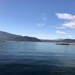 ヤリイカいい感じです。（＾ν＾）