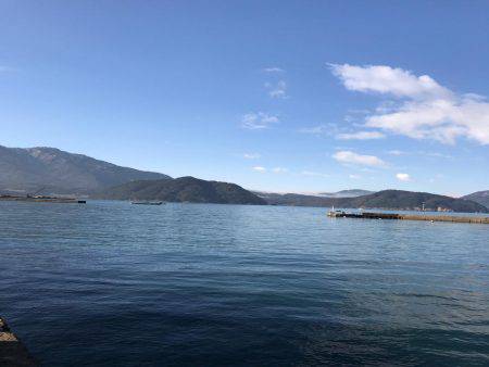 ヤリイカいい感じです。（＾ν＾）