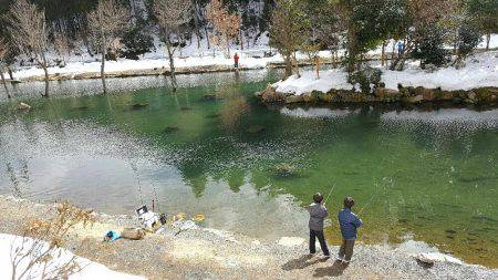 朽木渓流魚センター