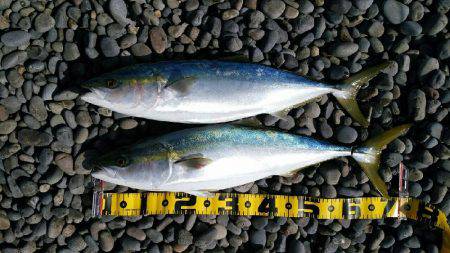 ショアジギング