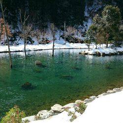 朽木渓流魚センタールアーフィールド