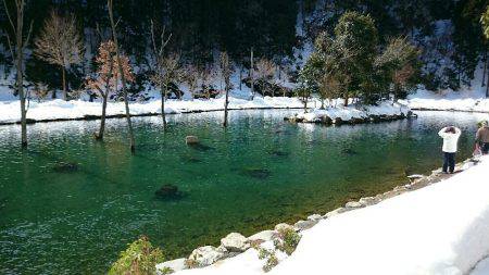 朽木渓流魚センタールアーフィールド