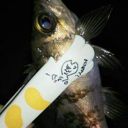 穏やかな日にメバリング