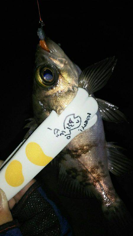 穏やかな日にメバリング