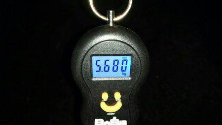 レッドモンスター