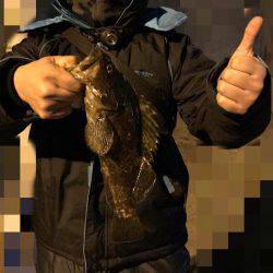 初場所で尺タケノコ