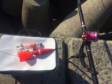 タルイチでコブトリ