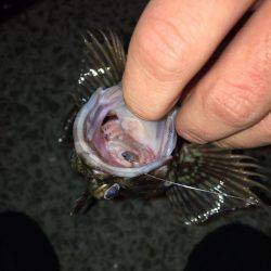 もちもちくんやったよ