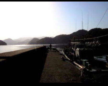 やりいかエギング