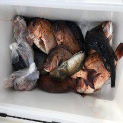 久々の釣り堀。