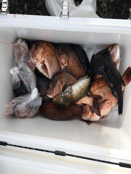 久々の釣り堀。