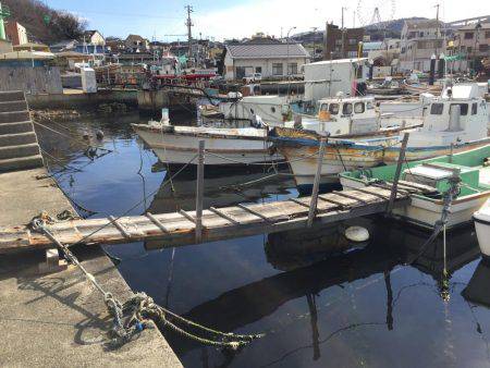 ロックフィッシュ