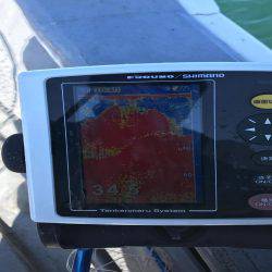 トーバスジギング