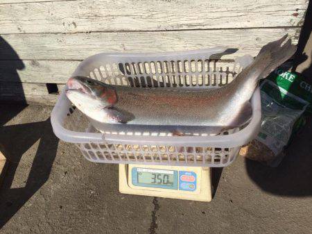 裾野フィッシングパーク