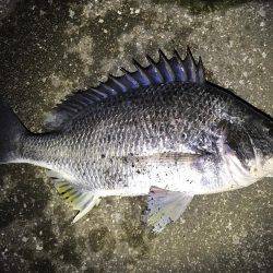 某水路にてライトゲーム