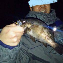 淡路島メバリング