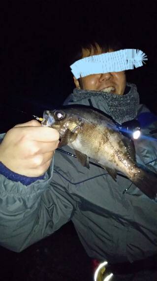 淡路島メバリング