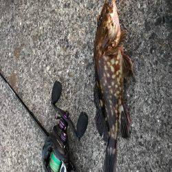 忠岡ホクシン前で穴釣り