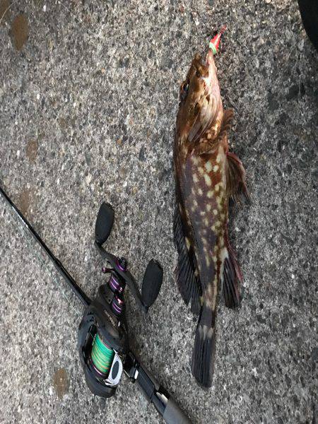 忠岡ホクシン前で穴釣り