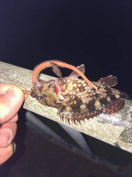 北公園ライトゲーム