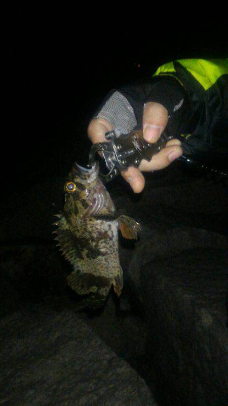 久々ライトゲーム