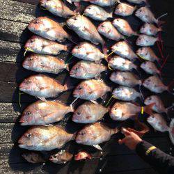 小豆島 鯛サビキ