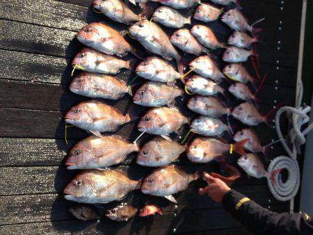 小豆島 鯛サビキ