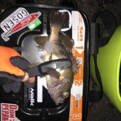 プレミアムフライデー