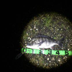 厳しい中なんとか