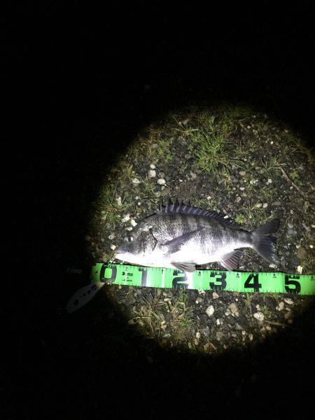 厳しい中なんとか