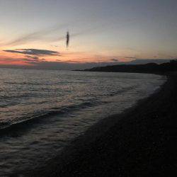 久しぶりの釣果