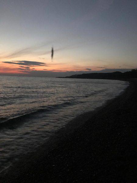 久しぶりの釣果