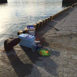 チヌ狙いが真鯛に