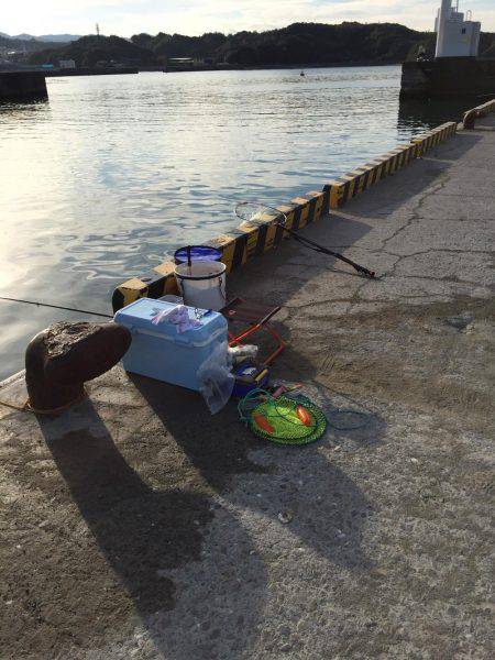 チヌ狙いが真鯛に