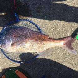鯛ラバで釣ったぜー！