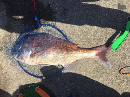 鯛ラバで釣ったぜー！