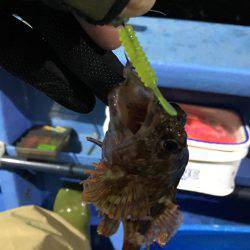 ヤザワ渡船ロックショート便