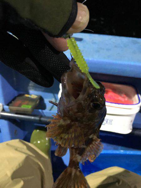 ヤザワ渡船ロックショート便