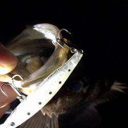 磯メバプラッキング♪