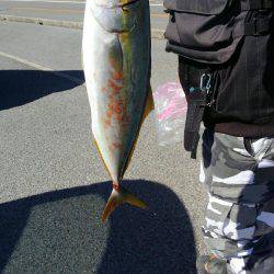 ショアジギング