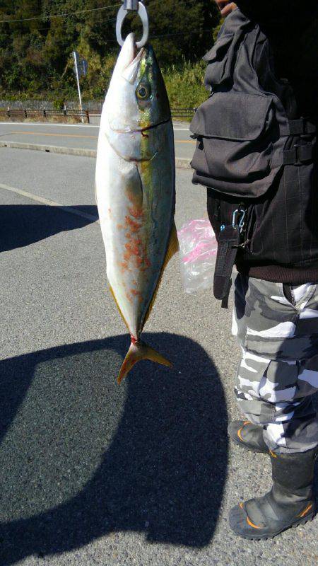 ショアジギング