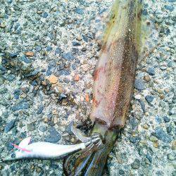 春一番で、やっと釣れた