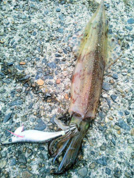 春一番で、やっと釣れた