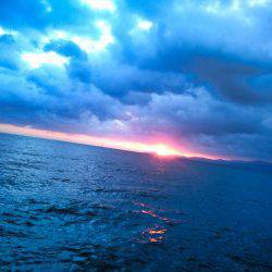 まだいますよ！