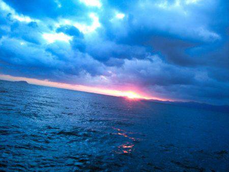 まだいますよ！