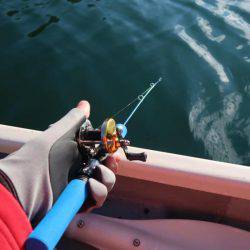 丹沢湖で今シーズン最後のボートワカサギ